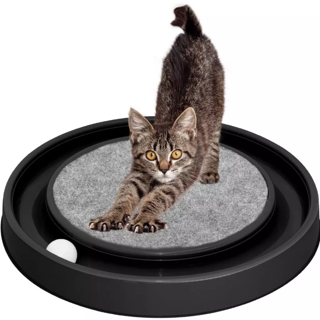 Arranhador Redondo Para Gato – Com Bolinha